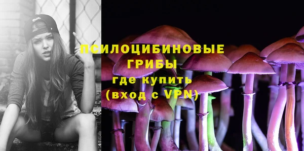 ешки Нефтекумск