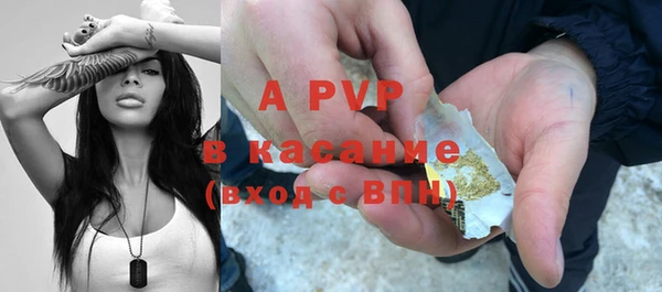 индика Абдулино